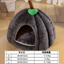 かぼちゃの隠れ家