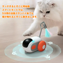 スマート・キャット・ハンティングカー