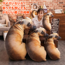 だきわんこクッション