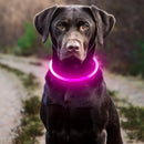 LumiPaw安全LED首輪