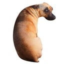 だきわんこクッション