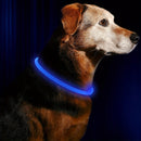 LumiPaw安全LED首輪
