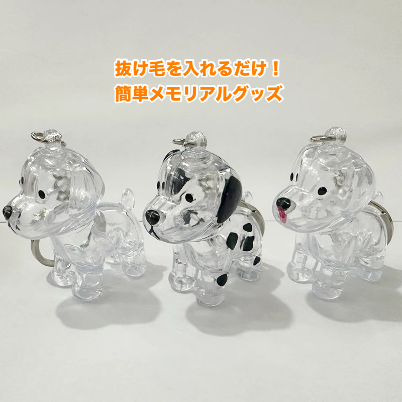 ワンきずなメモリア