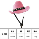 カウボーイスター・ハット