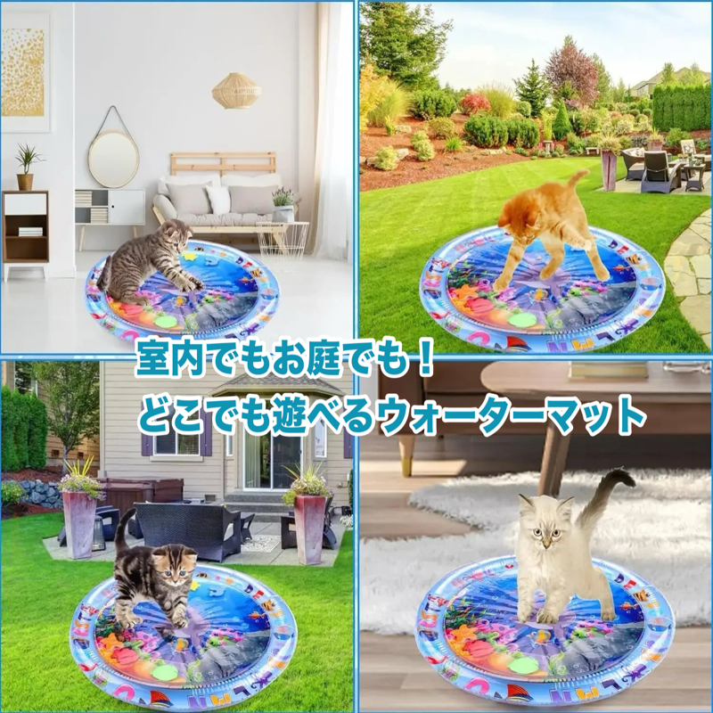 ひえひえマリンパラダイス