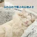 ぽかぽかベッド