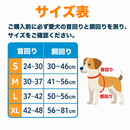 おめかしハーネス｜わんこのフォーマルコーデ