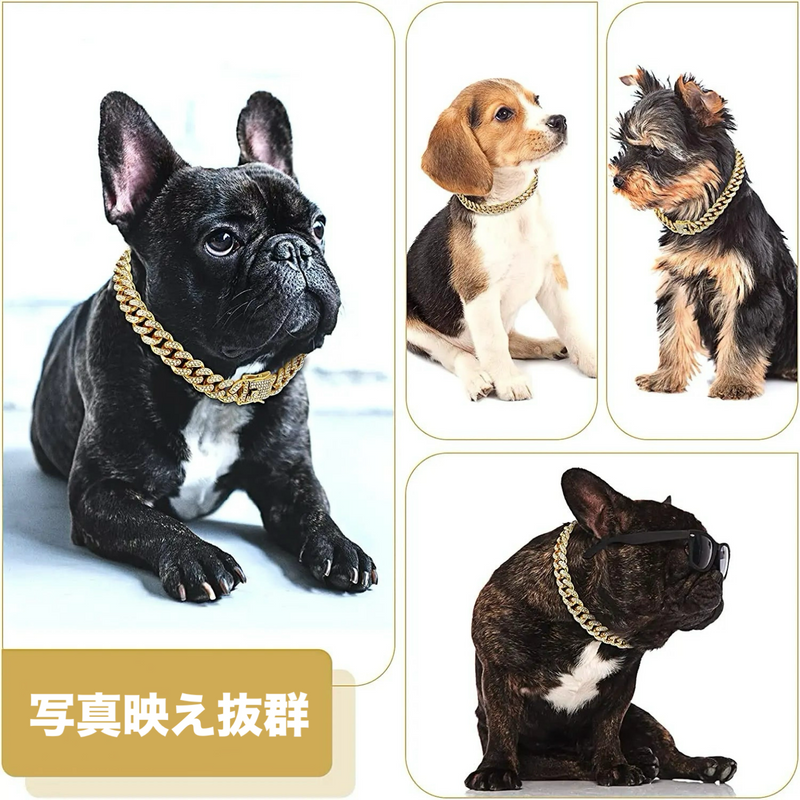 ペット・アイスチェーン
