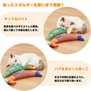 にゃんこフィッシュ