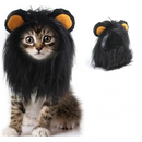 おうちの王様フード