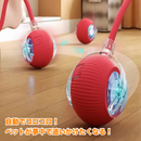 インタラクティブ・スマートペットボール