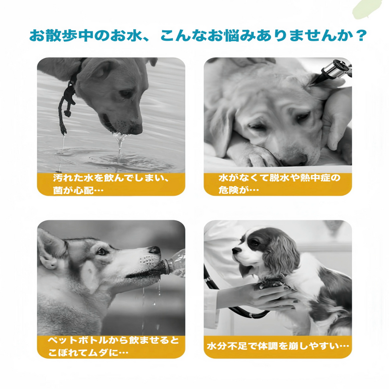 ミズモグ
