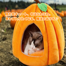 かぼちゃの隠れ家