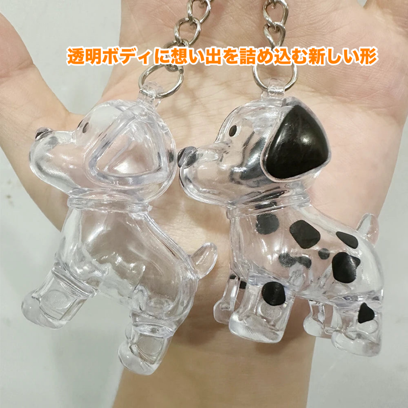 ワンきずなメモリア