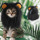 おうちの王様フード