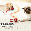 インタラクティブ・スマートペットボール