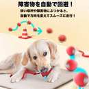 インタラクティブ・スマートペットボール