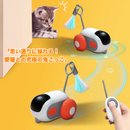 スマート・キャット・ハンティングカー