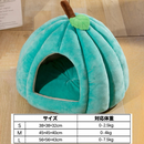 かぼちゃの隠れ家