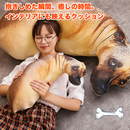 だきわんこクッション