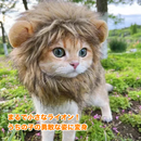 おうちの王様フード