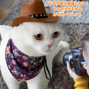 カウボーイスター・ハット