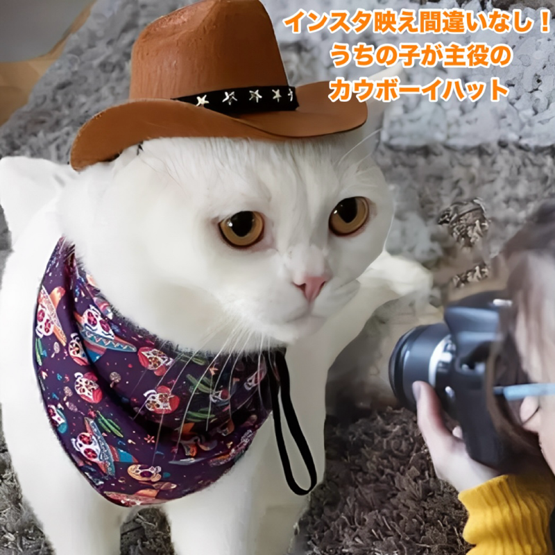 カウボーイスター・ハット
