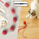 インタラクティブ・スマートペットボール