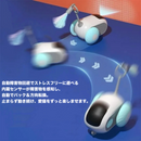 スマート・キャット・ハンティングカー