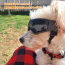 ワンシールド・アイズ