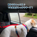 ドライブセーフ・ストラップ