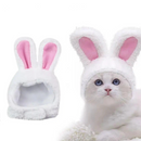 うちの子バニーキャップ