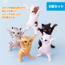 ちびニャン応援団