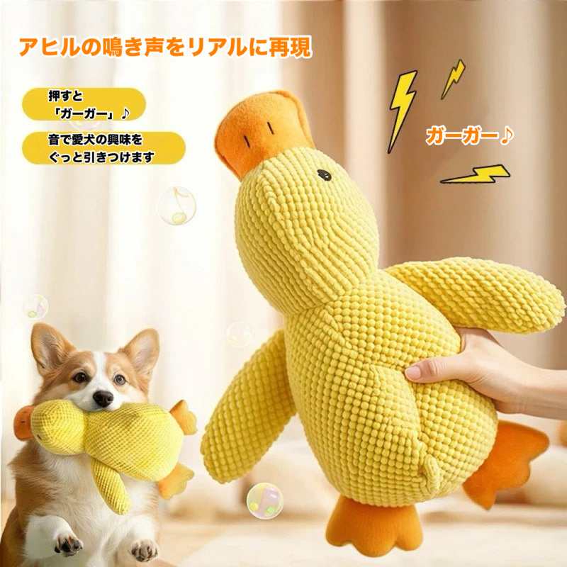 ふわぴよアヒルちゃん