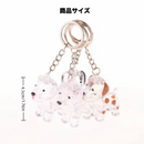 ワンきずなメモリア