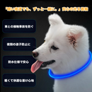 LumiPaw安全LED首輪