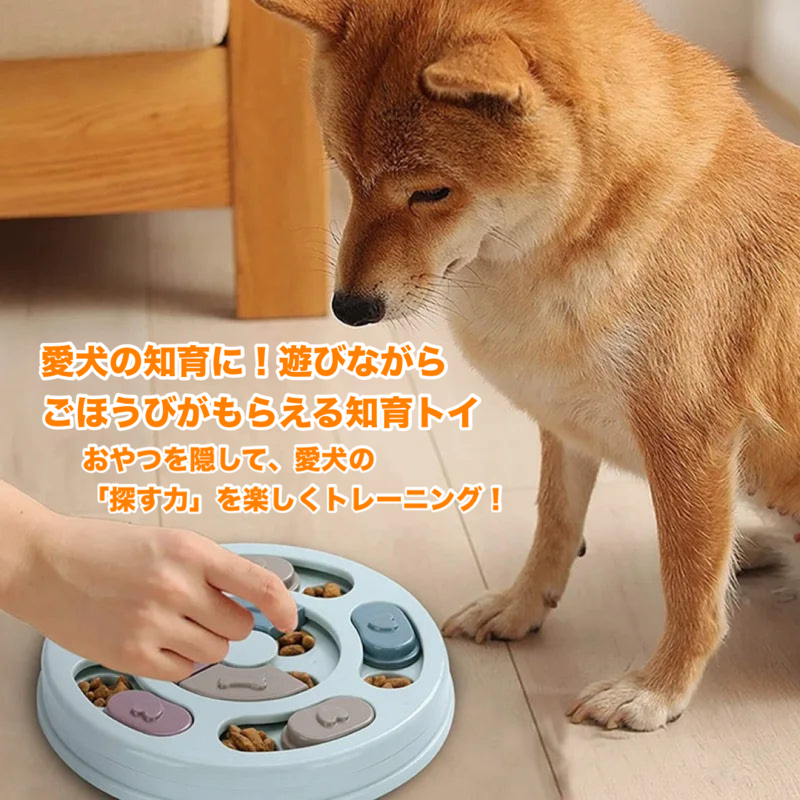 ドッグ・ブレインフードパズル