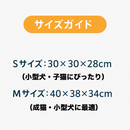 夢のもぐりベッド