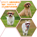 ワンシールド・アイズ