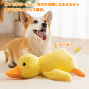 ふわぴよアヒルちゃん