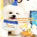 お誕生日スペシャルコーデセット