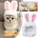 うちの子バニーキャップ