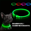 LumiPaw安全LED首輪