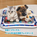 ひえひえマリンパラダイス