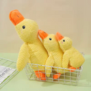 ふわぴよアヒルちゃん