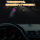 LumiPaw安全LED首輪