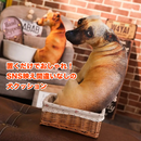 だきわんこクッション