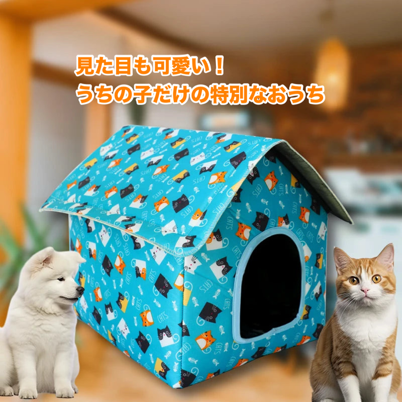 ふわふわドリームハウス