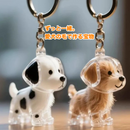 ワンきずなメモリア