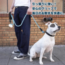 「夜道でも、愛犬を守る。」・ナイトガード
